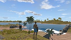 The Endless Summer - Search For Surf