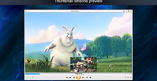 Zoom Player 16 : Steam Edition