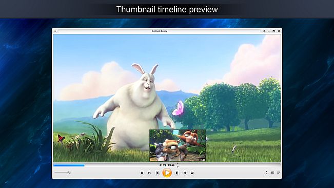 Zoom Player 16 : Steam Edition