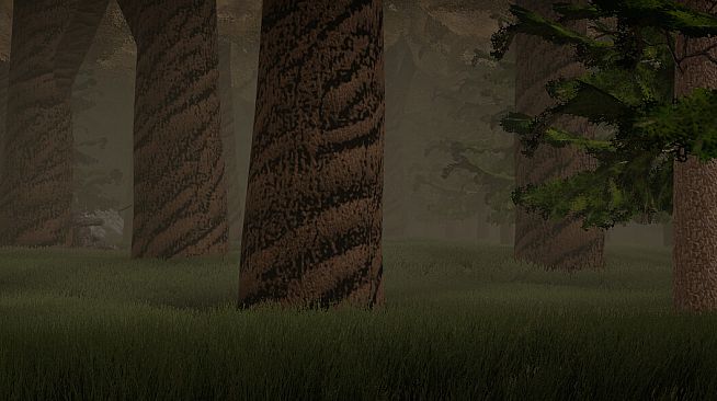 Silver Cats - Developer Files