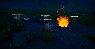 Turtles on Crocodiles