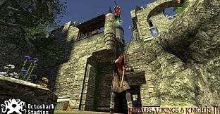 Pirates Vikings & Knights II