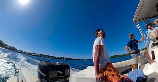 Swimming with Humpbacks