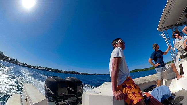 Swimming with Humpbacks