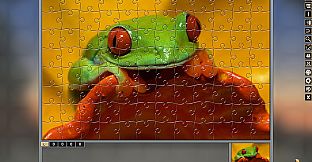 Pixel Puzzles Traditional Jigsaws Pack: Colorful Animals