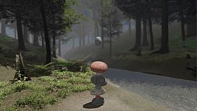 Cairn Stone Balancing