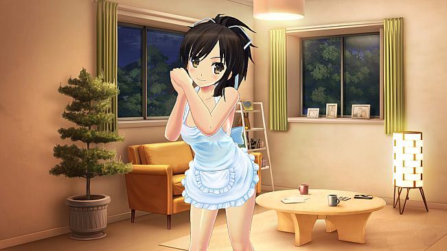 SENRAN KAGURA Reflexions - Newlyweds Outfit Set