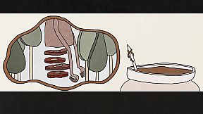 Landlord of the Woods