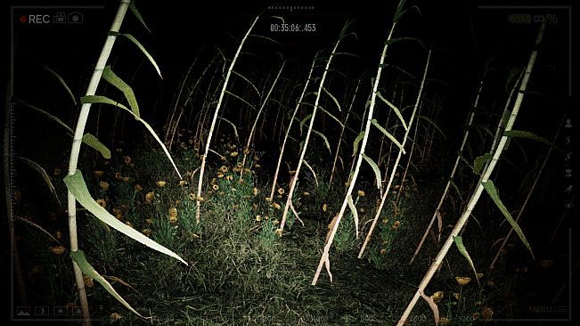 THE LORD OF THE NIGHT: Pombero Reborn