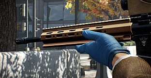 PAYDAY 2: Gage Mod Courier