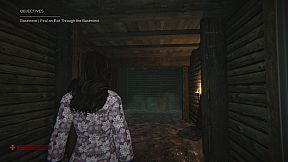 Shadows of the Werewolf