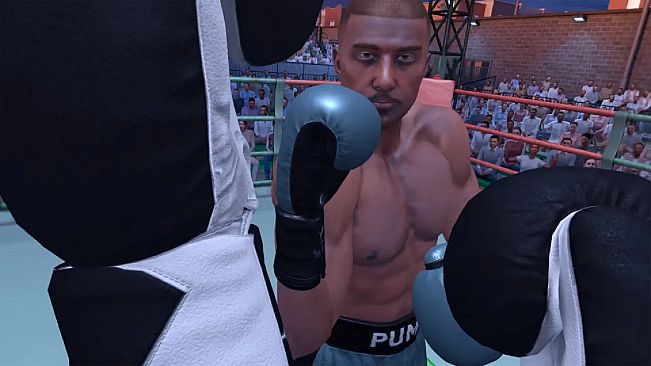 The Thrill Of The Fight 2 - Puma Original Black Gloves