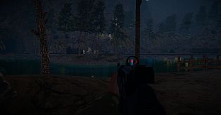 Desert Strait: Operation Online