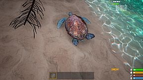 Matt's Project Survival