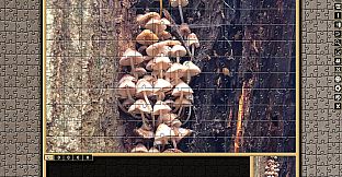 Pixel Puzzles Traditional Jigsaws Pack: Variety Pack XXS