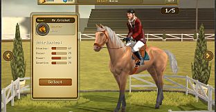 Jumping Horses Champions