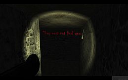 Madness of the Architect