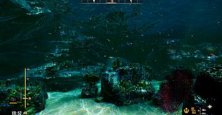 Deep Diving Adventures 2