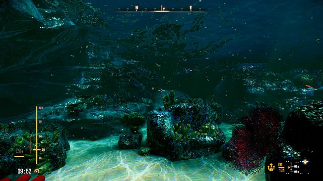 Deep Diving Adventures 2