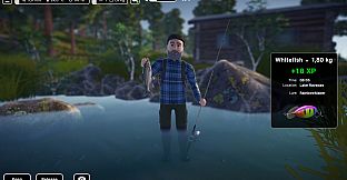 Lost Lures