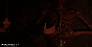 Cosmic Horizons: Path of the Wanderer