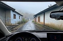 规则怪谈：梦核密室逃脱