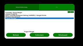 Fullscreen Borderless Gaming