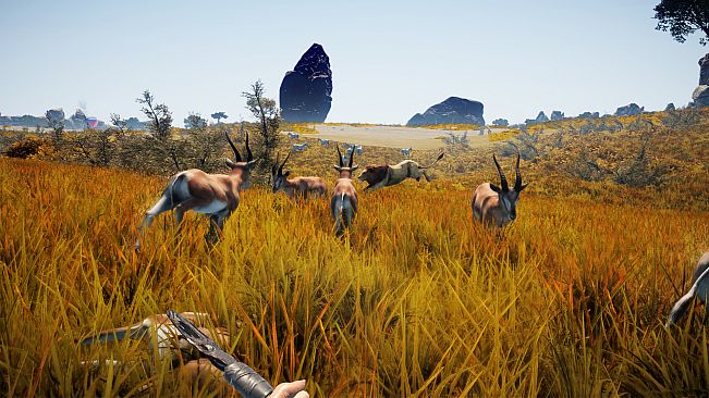 Animallica - Official Soundtrack