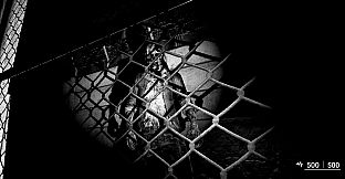 ASZG Project Director's Cut