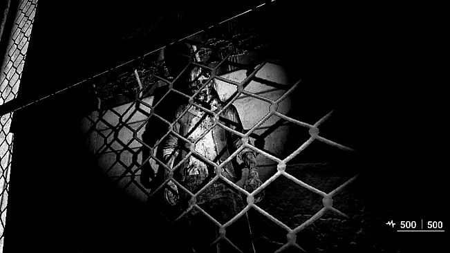 ASZG Project Director's Cut