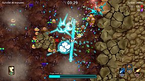 The Journey of Piggy