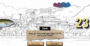 Odd Adventure of Chub, Color, 23 and You