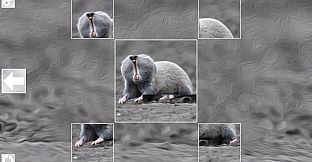Puzzle Art: Rodents