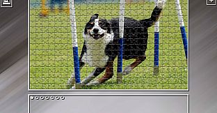 Super Jigsaw Puzzle: Generations - Dogs 2