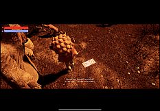 I am on Fire (小小火神）