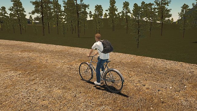 Delivery Life Simulator