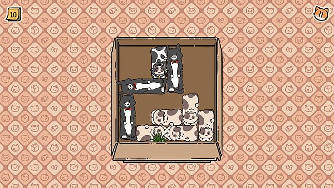 Box Cats Puzzle