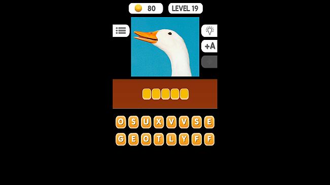 Photo Quiz - Animals