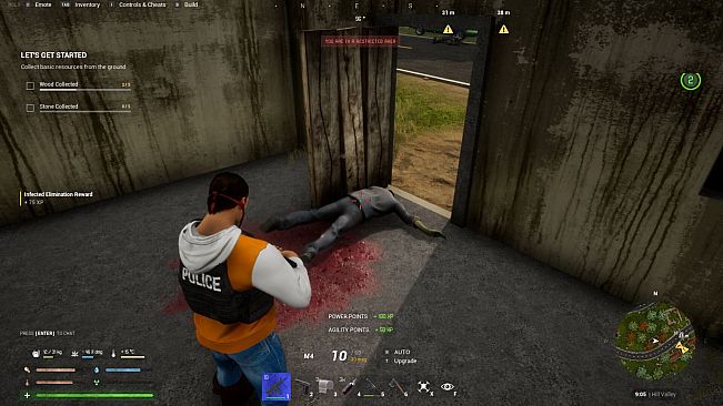 Lesion