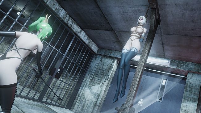 Widow in the Endless Labyrinth R-18