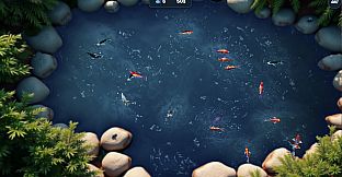 Koi Frenzy