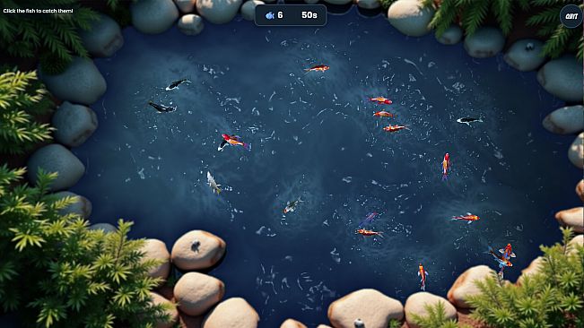 Koi Frenzy