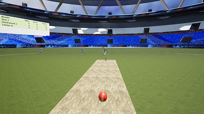 VR Cricket