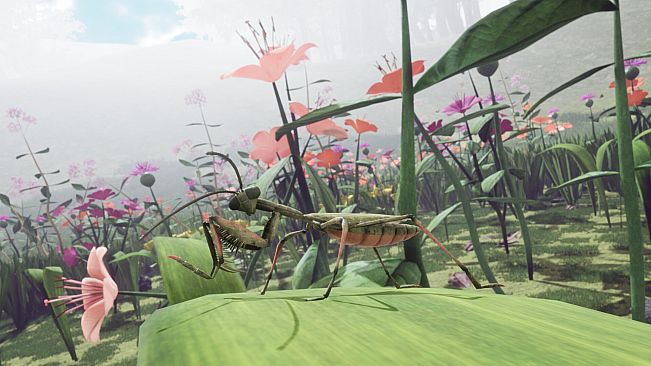 Predator Skins - Drunk On Nectar