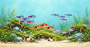 Aquarium Days