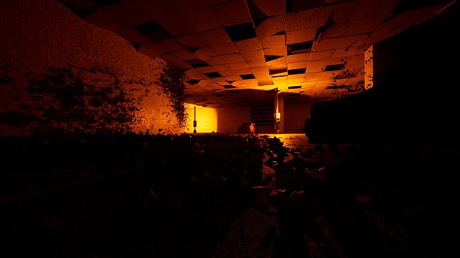 The Upper Downer Complex