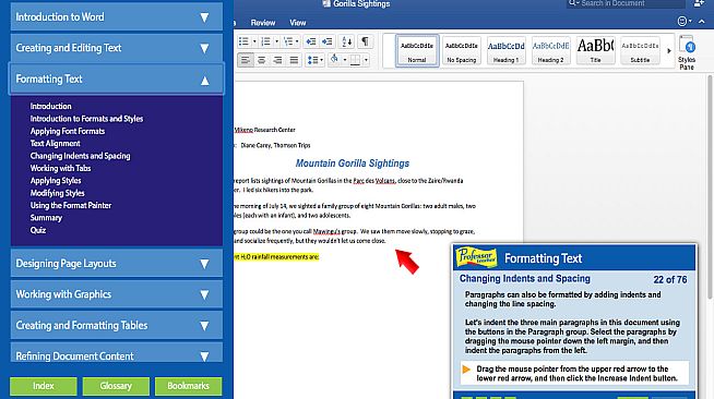 Professor Teaches Word 2016 – Mac