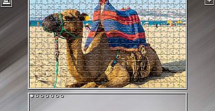 Super Jigsaw Puzzle: Generations - Morocco