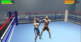 Boxing Life Simulator