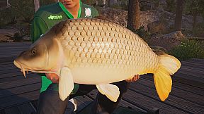 Fishing Sim World: Pro Tour + The Catch: Carp & Coarse